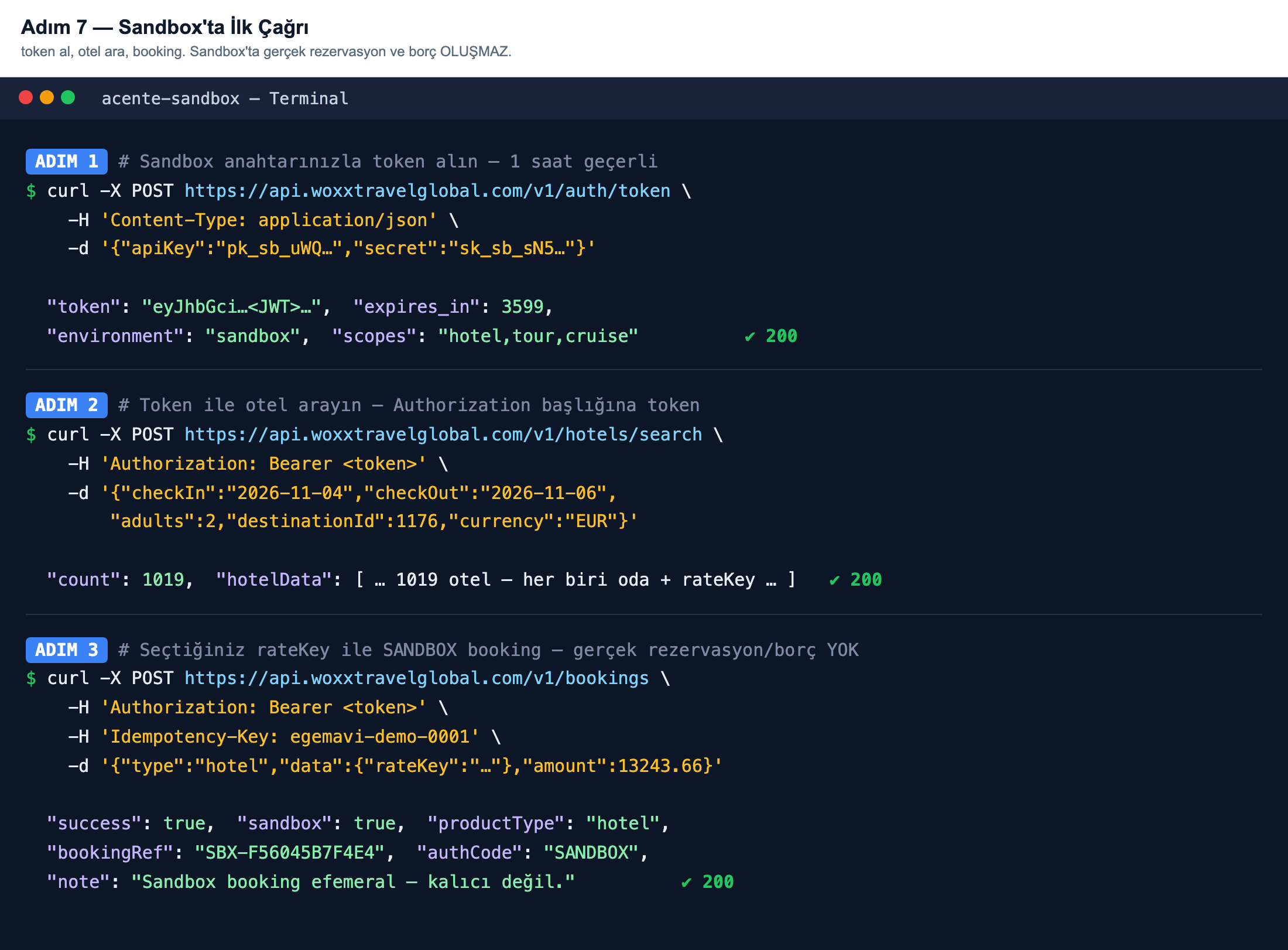 Sandbox API akışı